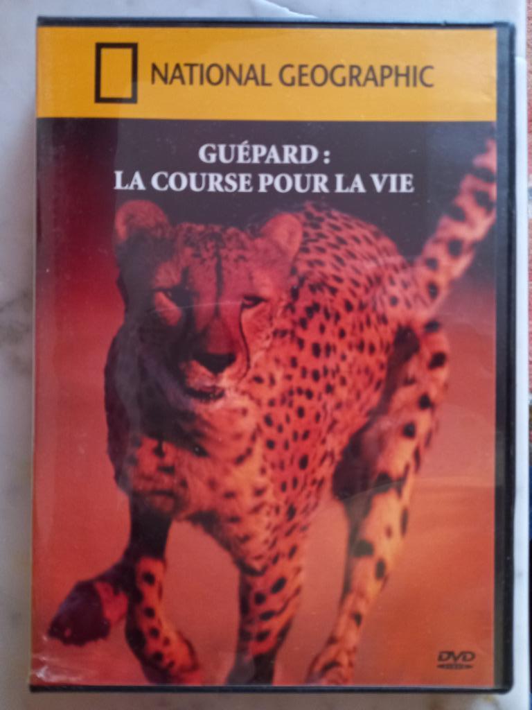 National Geographic – Guépard : la course pour la vie, Tous les âges, Enlèvement ou Envoi, Utilisé, Nature
