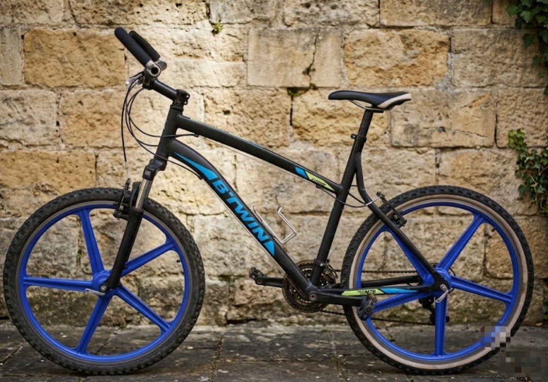 Vélo VTT, Enlèvement, Suspension