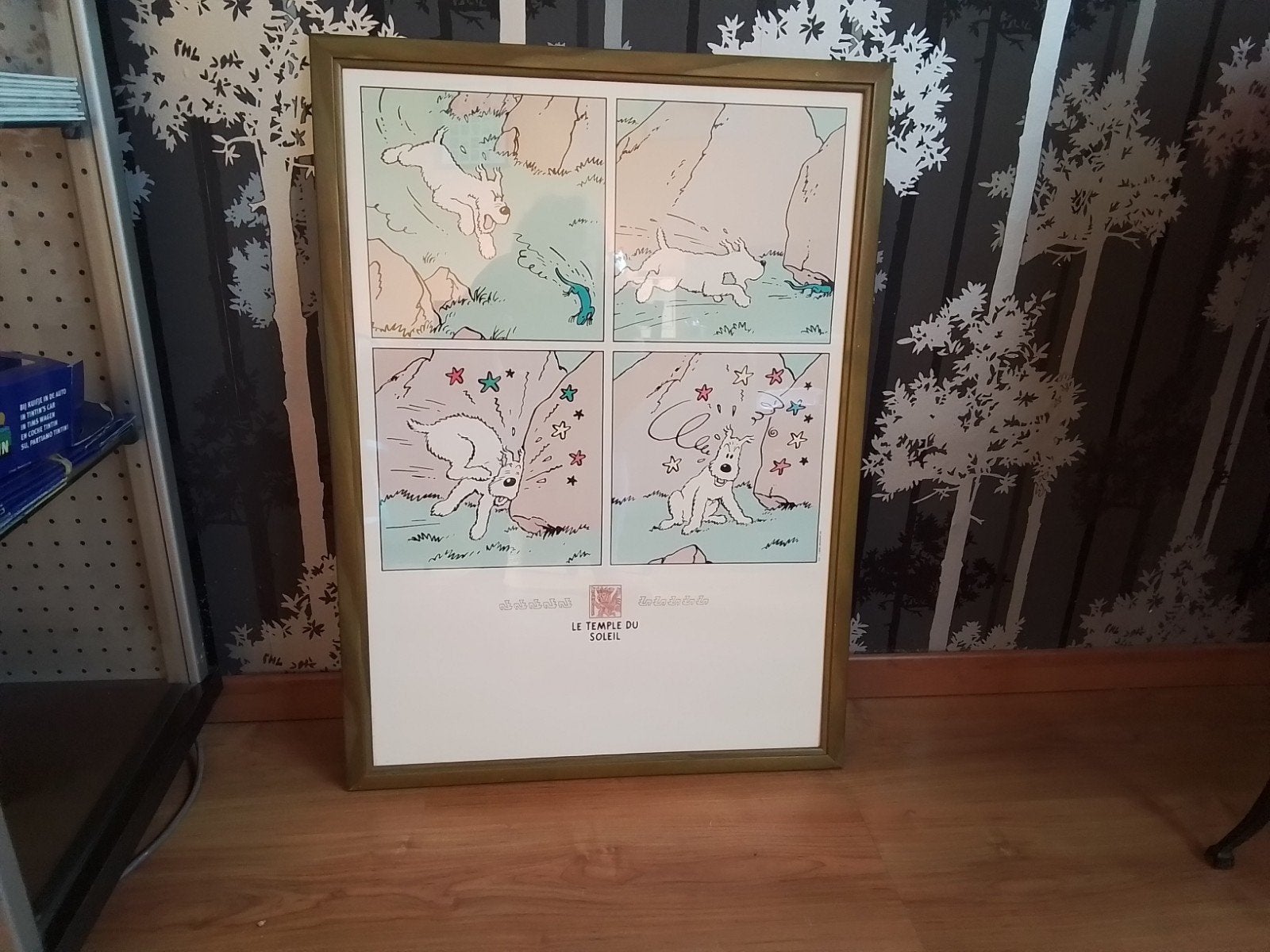 cadre tintin collection officielle !, Enlèvement, Tintin