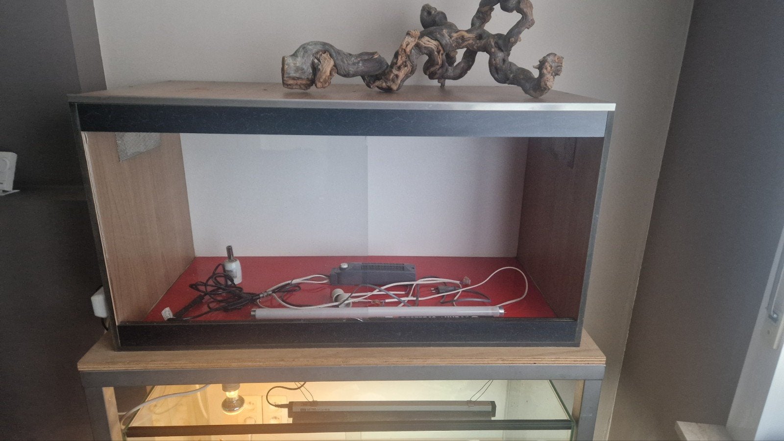 Terrarium 100x50x53, Dieren en Toebehoren, Ophalen