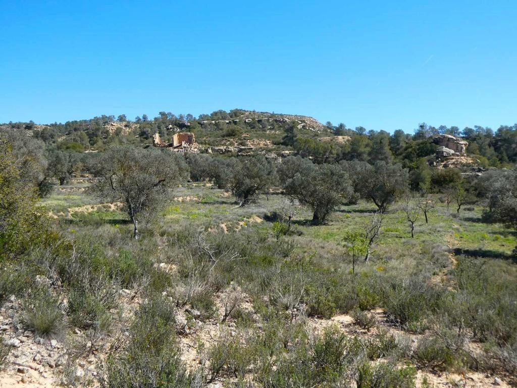 Finca à Fabara (Aragon, Espagne) - 1053, Immo, Étranger, Espagne, Autres types, Campagne