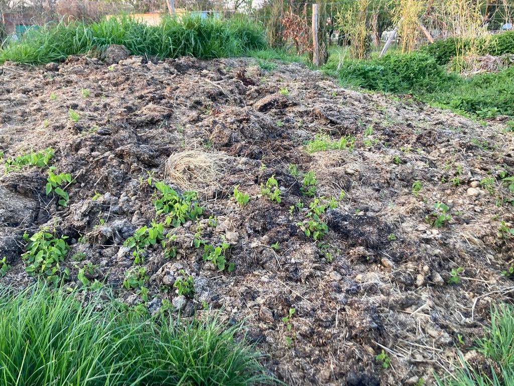 Fumier de cheval sur lin, Enlèvement, Compost
