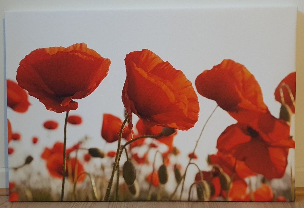 Jolie toile florale (coquelicots) 60 cm x 40 cm, Comme neuf, Enlèvement, 50 à 75 cm, Imprimé