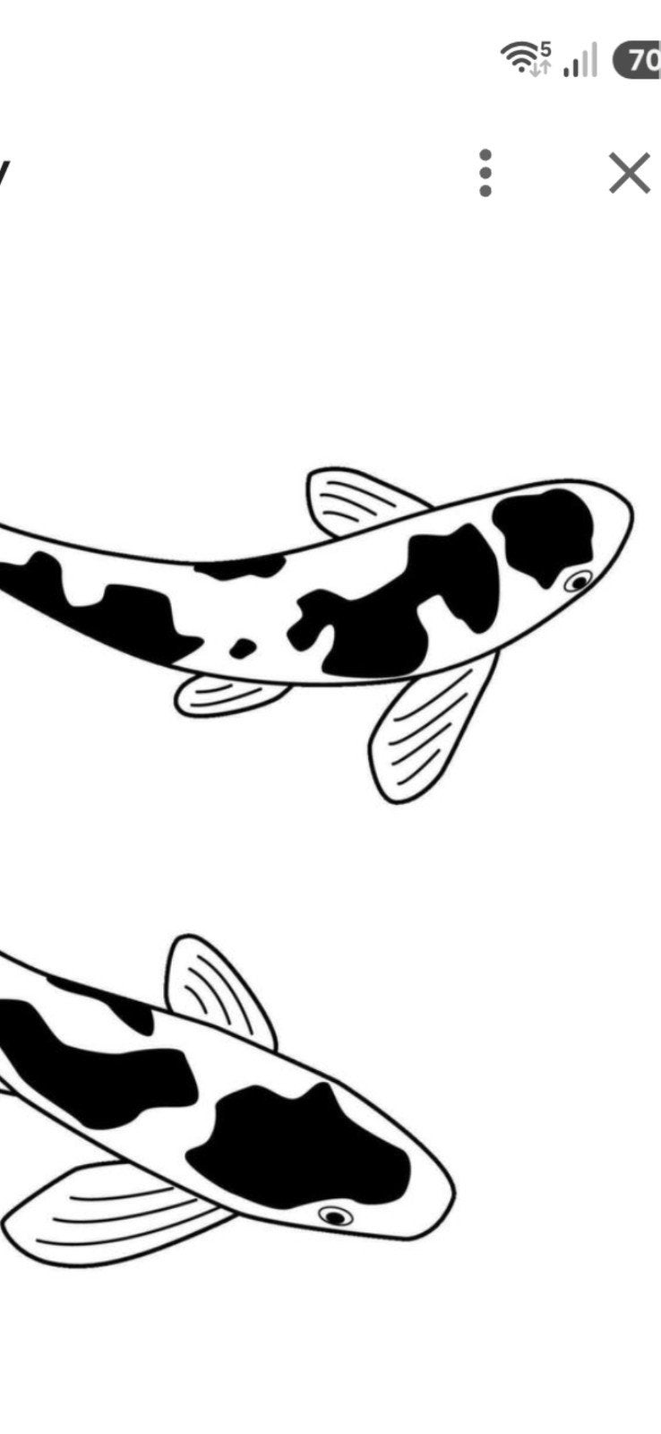 Gratuit / poissons d'étang, Motos, Accessoires | Autocollants, Enlèvement