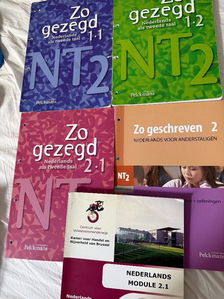 Manuels de cours de néerlandais, niveaux 1 et 2 (lot de 5), Livres, Envoi