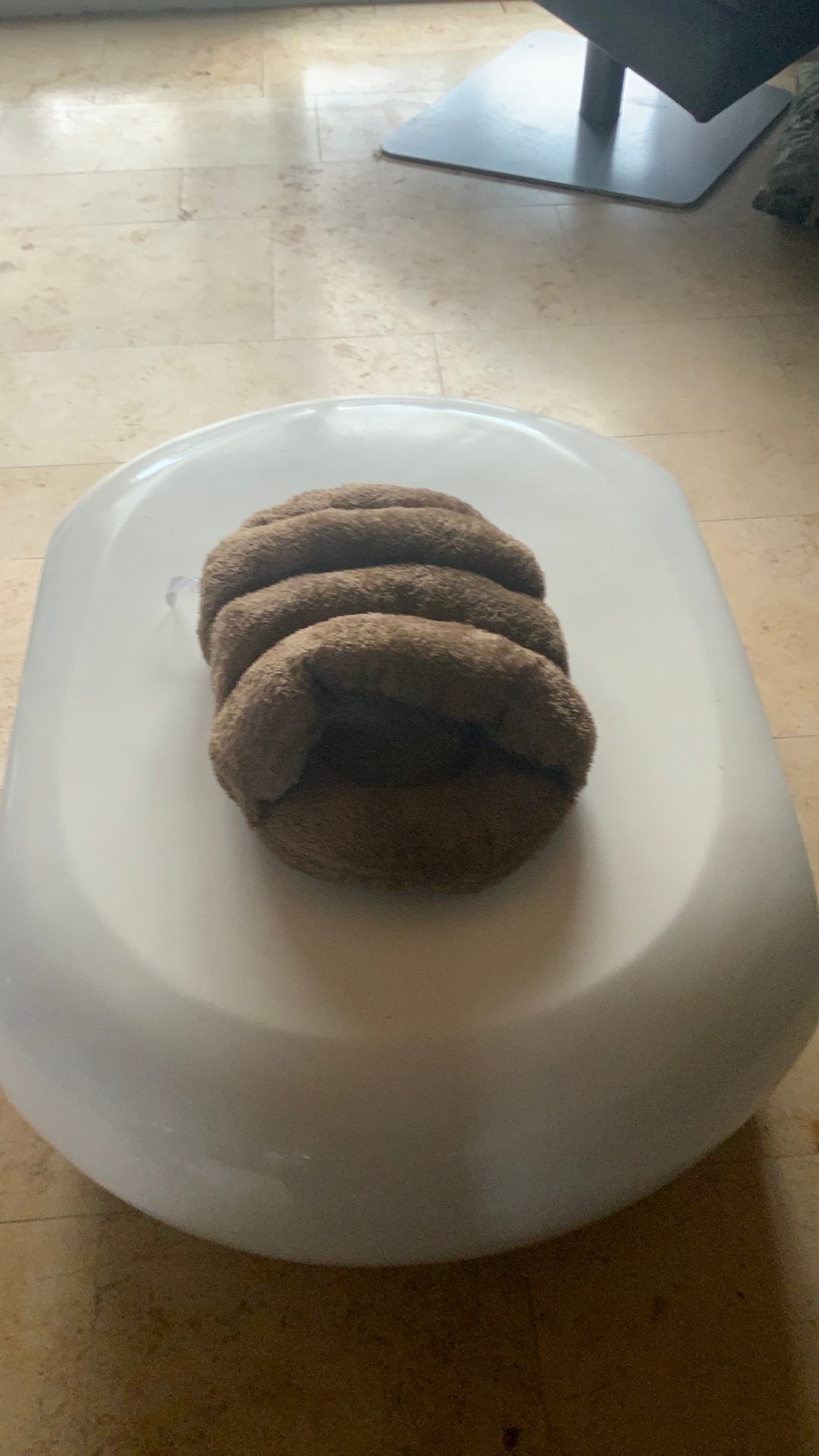 Mandje poes of hond, Enlèvement ou Envoi, Comme neuf