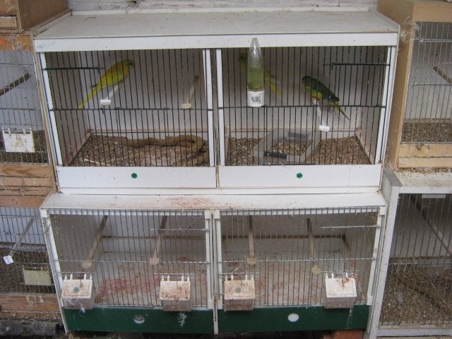 a vendre 2 belles cage d elevage en  polyester, Enlèvement ou Envoi, Utilisé, Synthétique