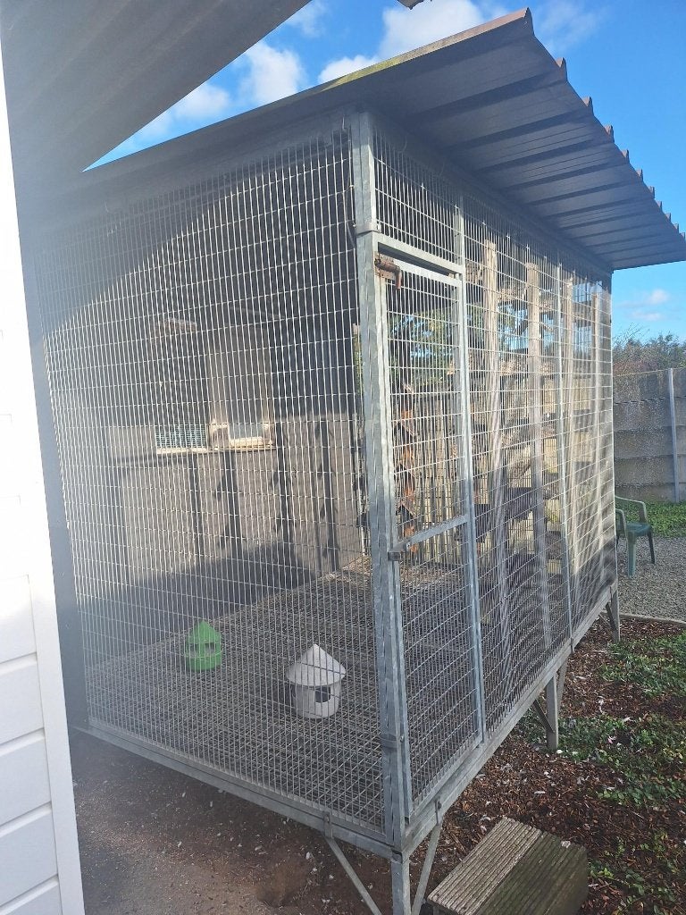 TE KOOP VOLIERE 2OP 3 METER  650 EURO, Dieren en Toebehoren