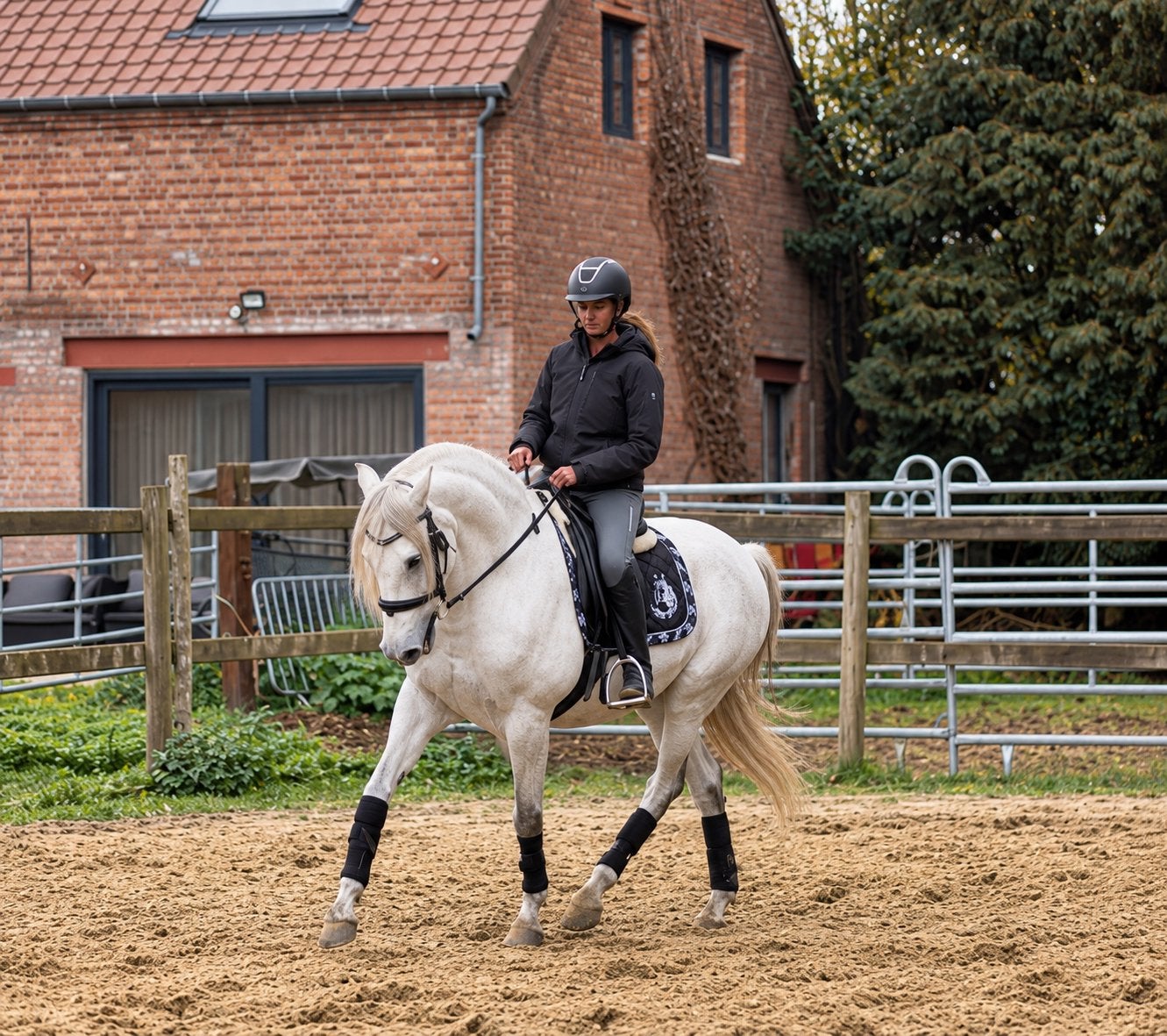 Brave ruin, Dieren en Toebehoren, Ruin