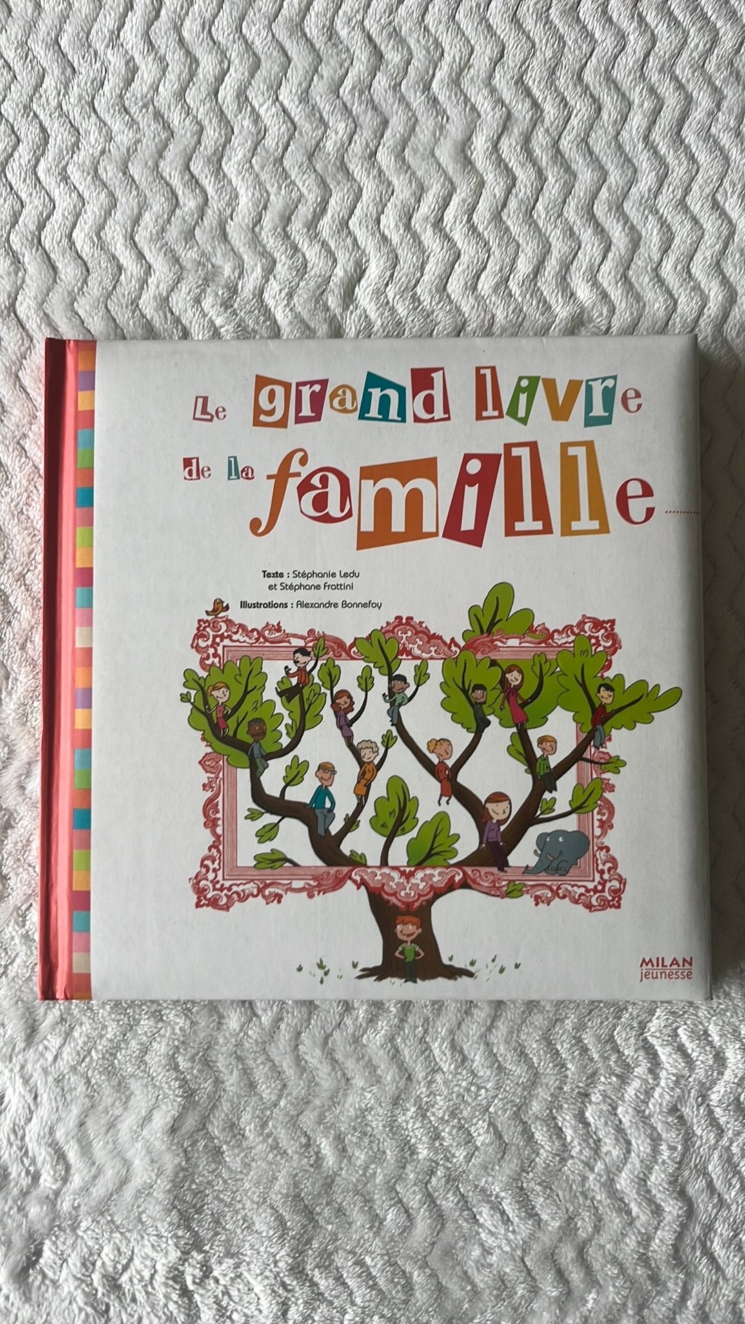 Livre « le grand livre de la famille », Livres, Livres d'images & Albums d'images, Enlèvement, Comme neuf