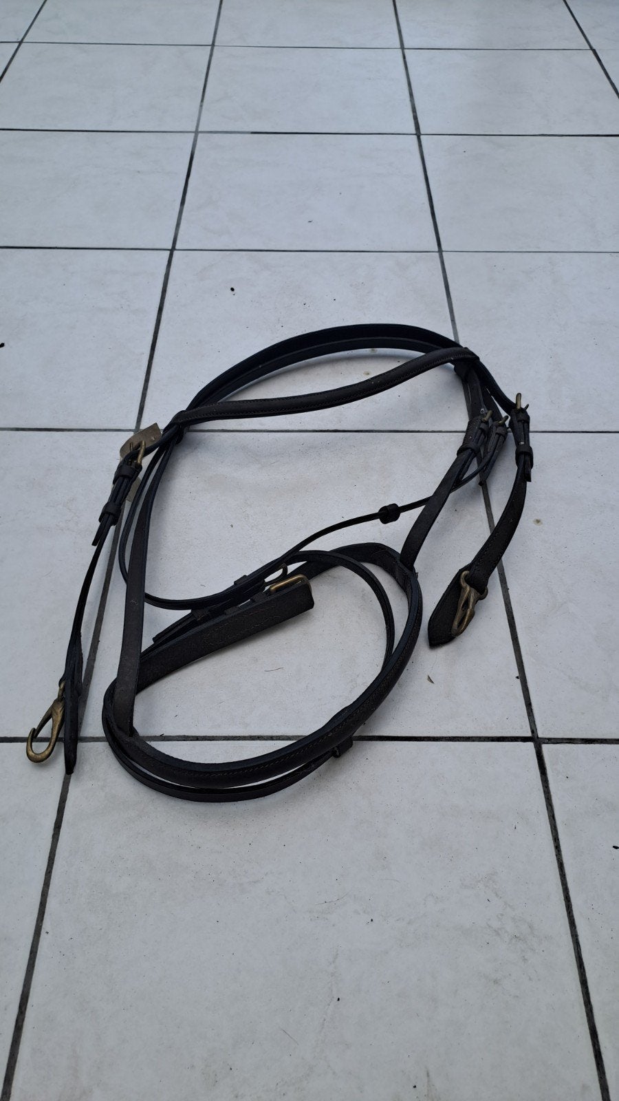 Hoofdstel, Dieren en Toebehoren, Ophalen of Verzenden, Hoofdstel, Cob