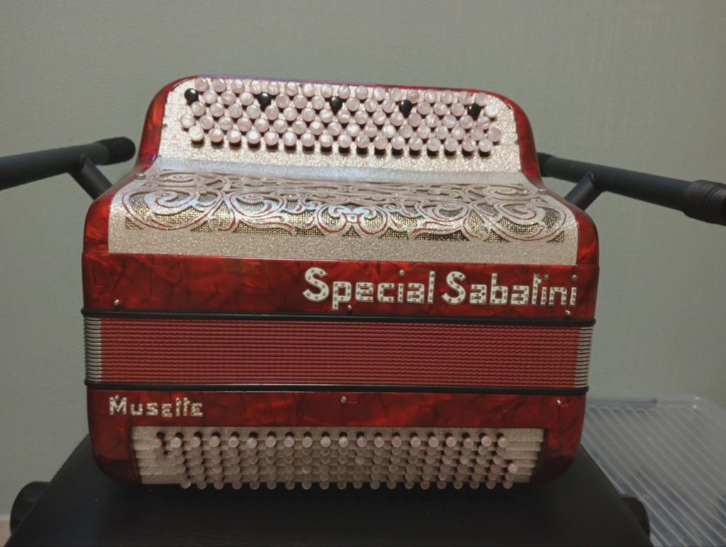 Accordéon spécial Sabatini Do2, Muziek en Instrumenten, Accordeons, 120-bas, Met koffer
