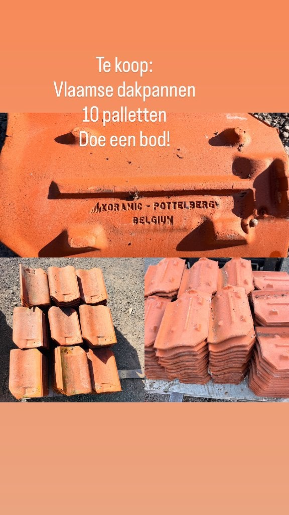 Dakpannen oude holle 451 Pottelberg, Enlèvement, Utilisé, Tuiles