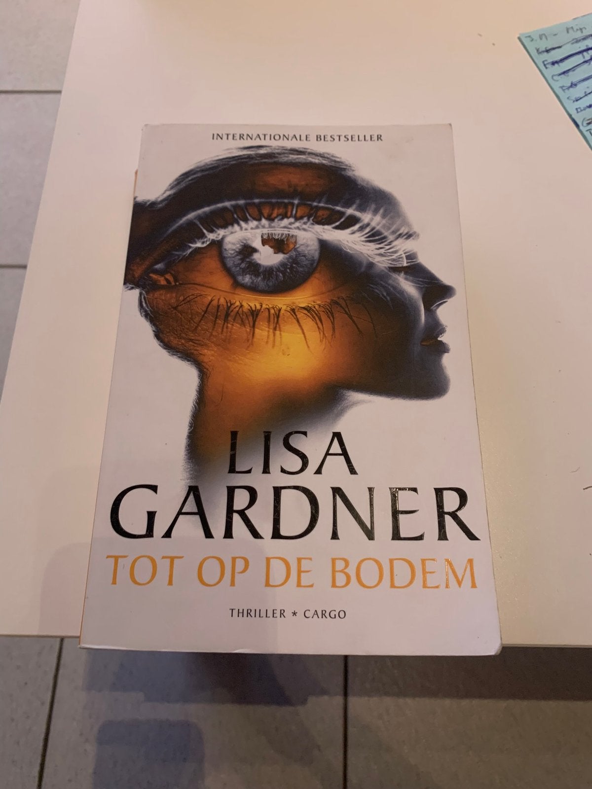 Lisa Gardner - Tot op de bodem, Livres, Enlèvement ou Envoi, Comme neuf