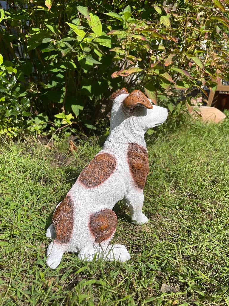 Beeld Jack Russel hond zwart tuin, boerderij 35cm, Ophalen, Nieuw, Kunststof, Dierenbeeld