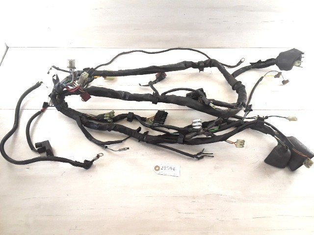 NT650V 1998 - 2001 Honda Kabelboom Kabelboom hoofd D1-39669
