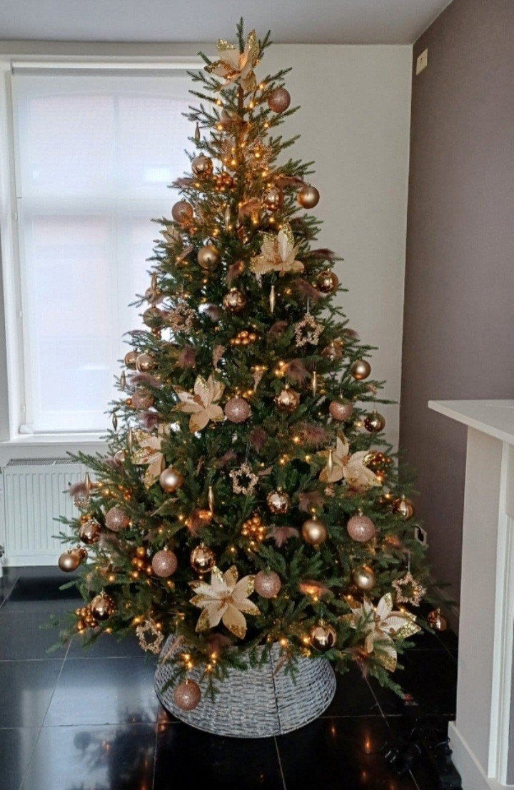 Prachtige kerstboom 240 cm met 560 Led lampjes.
Aangekocht d, Ophalen