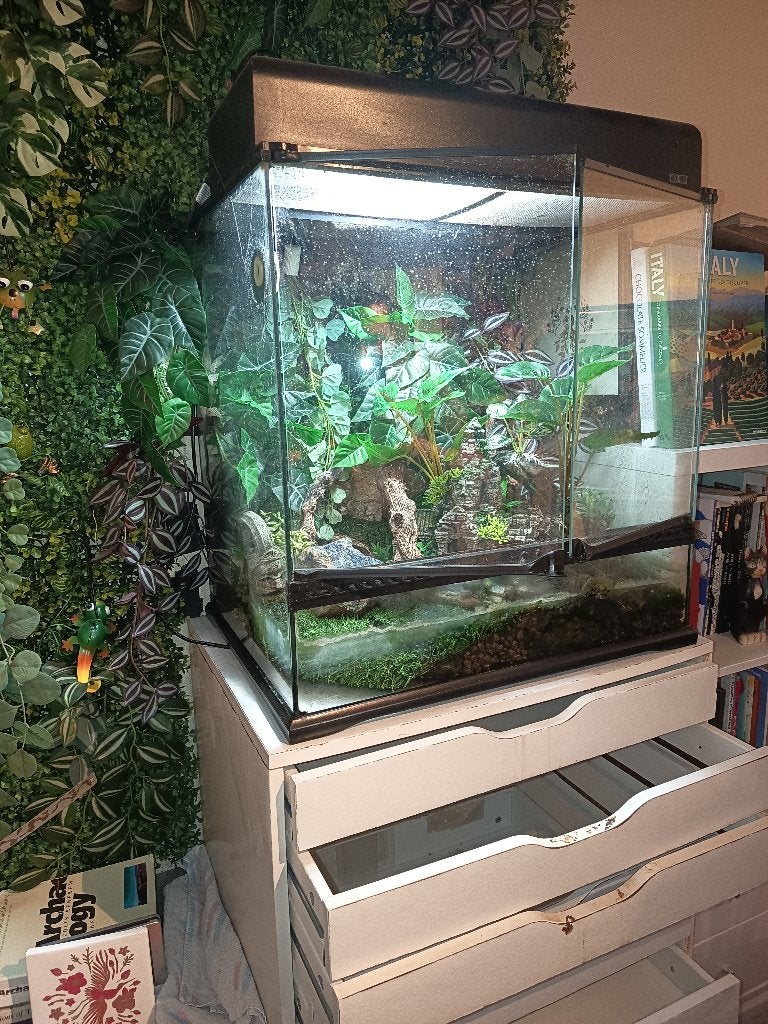 Exo Terra Natural Medium Tall terrarium, Ophalen, Gebruikt, Terrarium of Paludarium