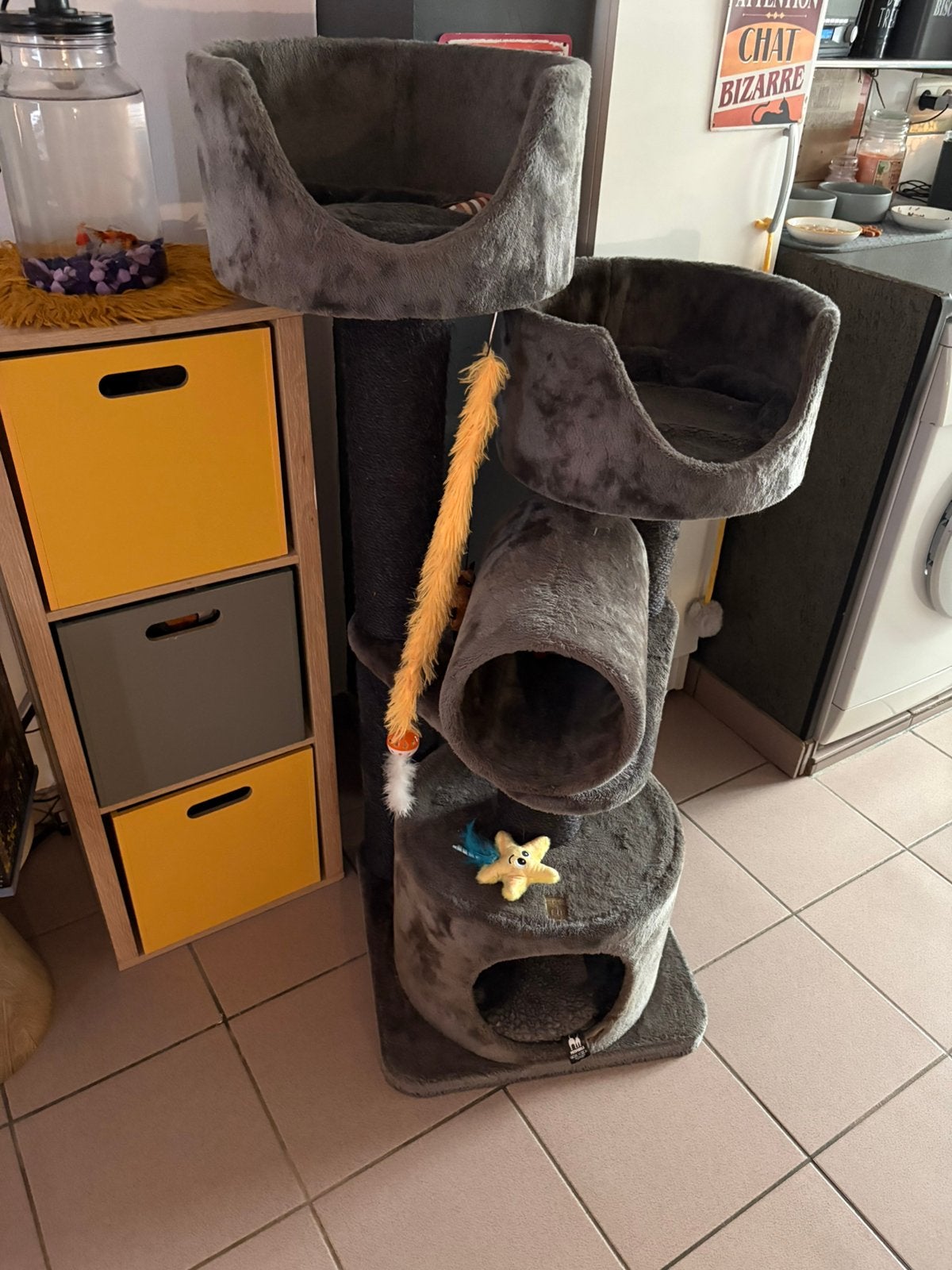 Arbre à chat ( Petrebels), Enlèvement, Utilisé
