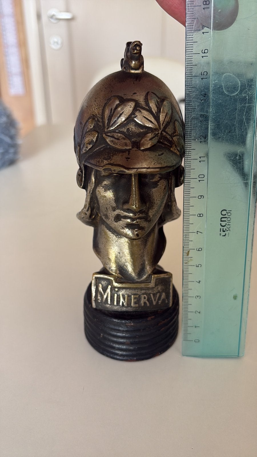 Mascotte MINERVA, Ophalen