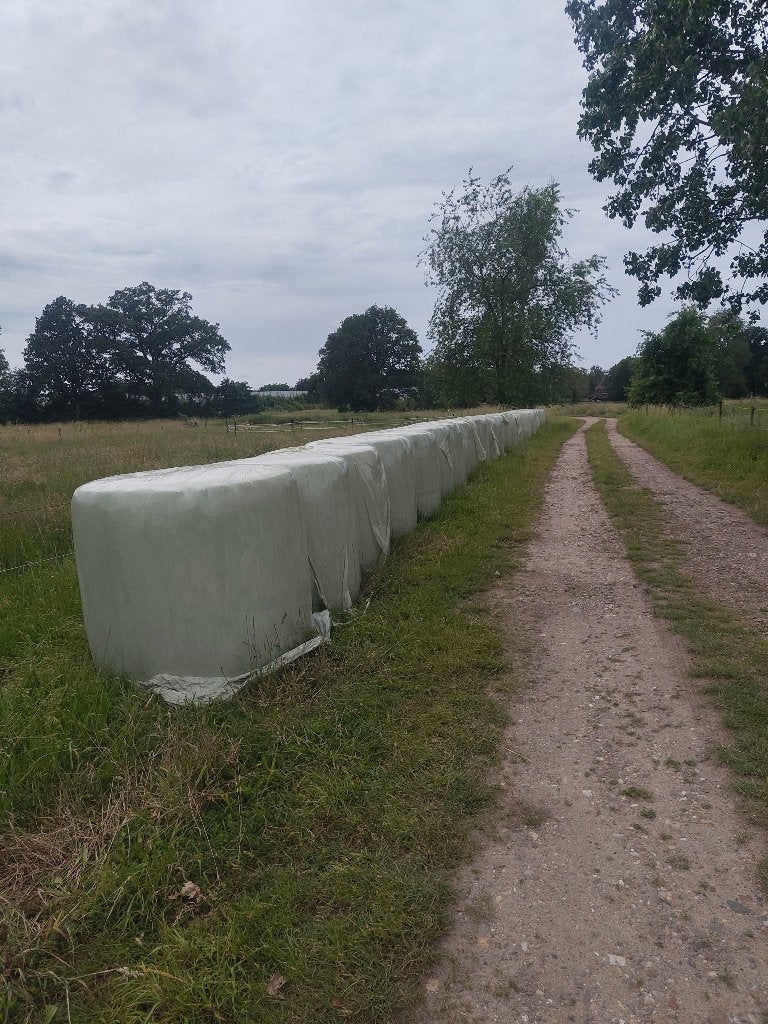 Hooi voordroog te koop, Articles professionnels, Agriculture | Aliments pour bétail, Enlèvement