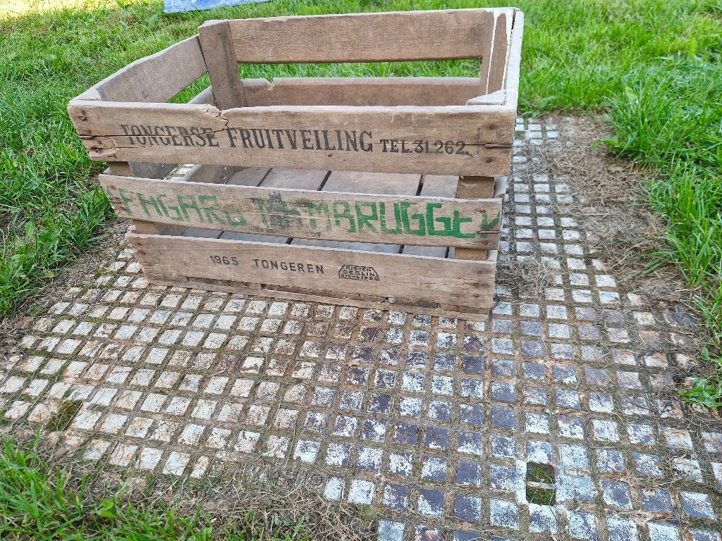 Oude fruitkist 1965 tongeren, Huis en Inrichting, Ophalen, Minder dan 50 cm, Gebruikt, 50 tot 100 cm