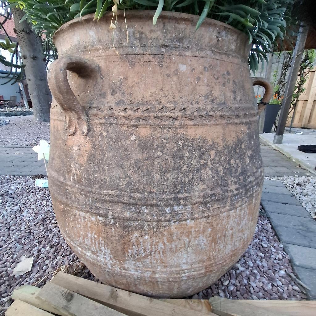 Antieke griekse olijfolie pot, Ophalen