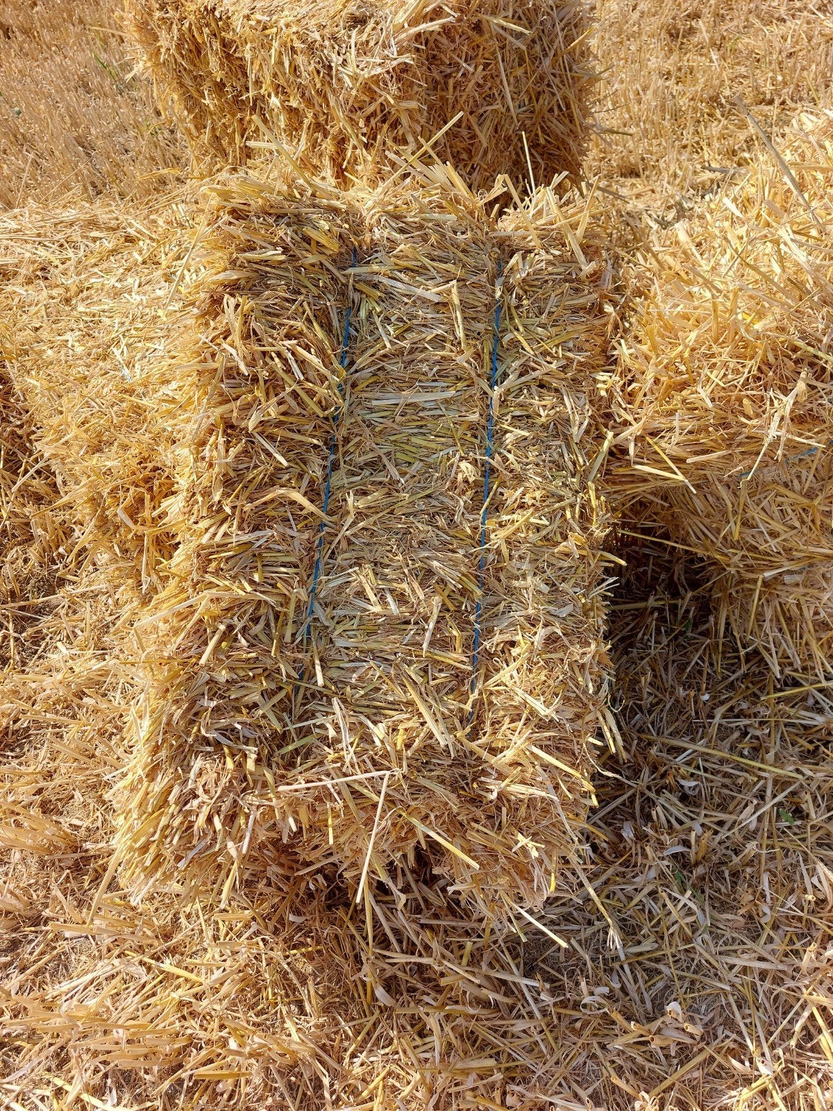 Kleine balen stro van het veld, Dieren en Toebehoren