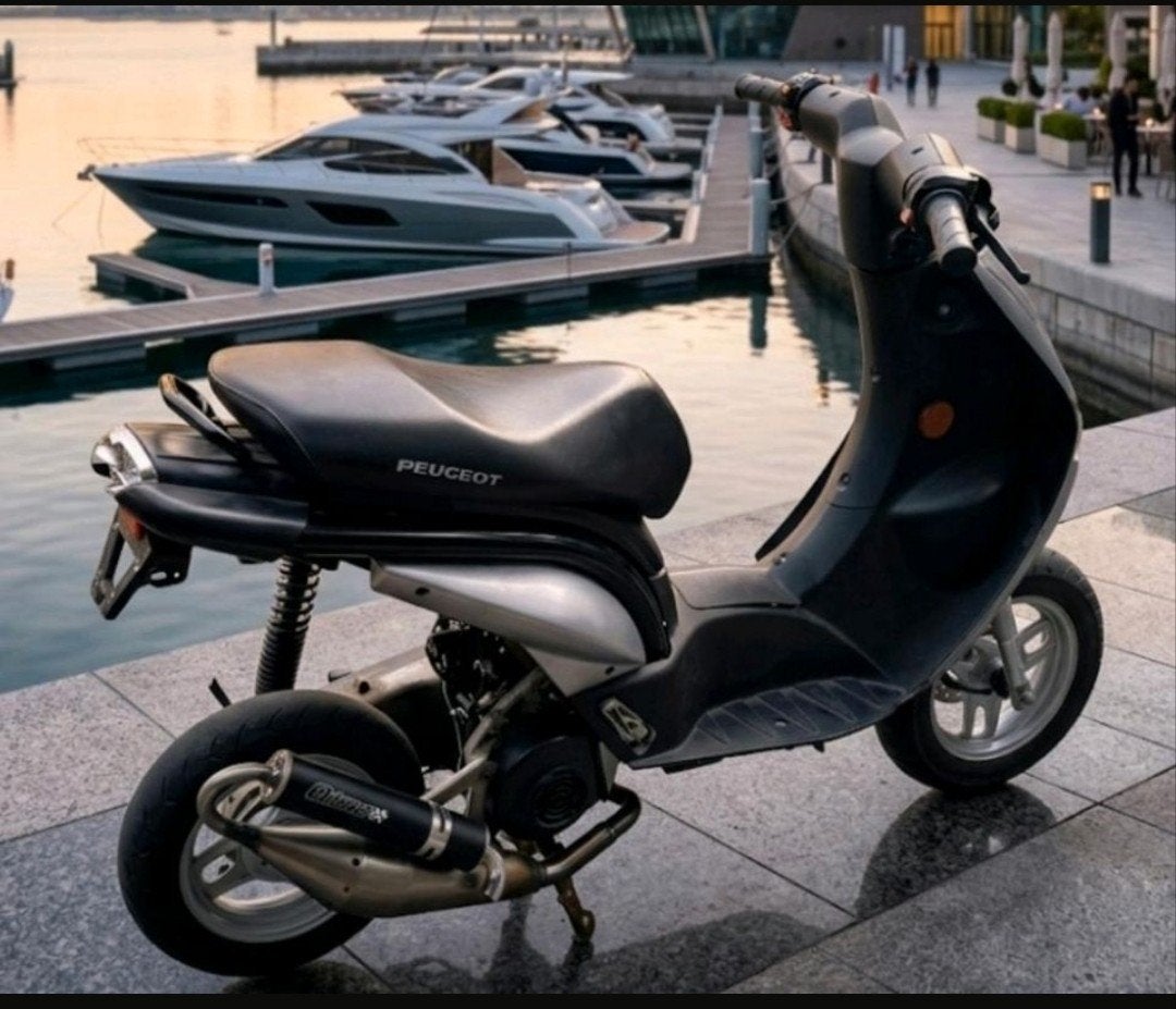 Peugeot ludix Opknapper, Fietsen en Brommers, Ophalen