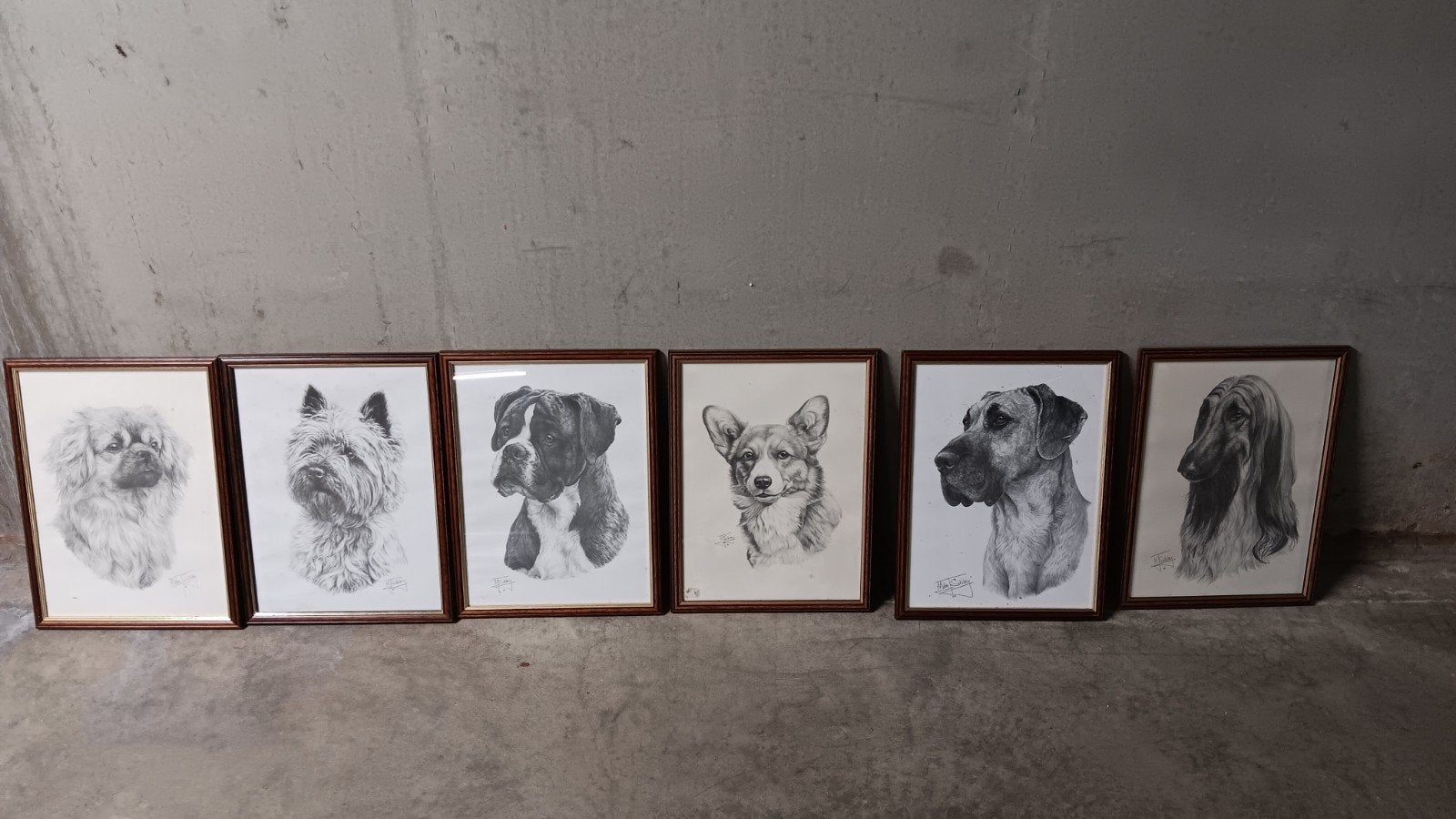 lot etsen tekeningen honden Mike Sibley, Antiquités & Art, Art | Eaux-fortes & Gravures, Enlèvement, Faune et Flore, Eau-forte