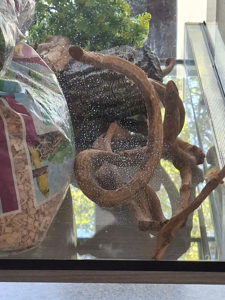 Hiebij verkoop ik mij terrarium met toebehoren, Animaux & Accessoires, Reptiles & Amphibiens | Accessoires, Enlèvement, Utilisé
