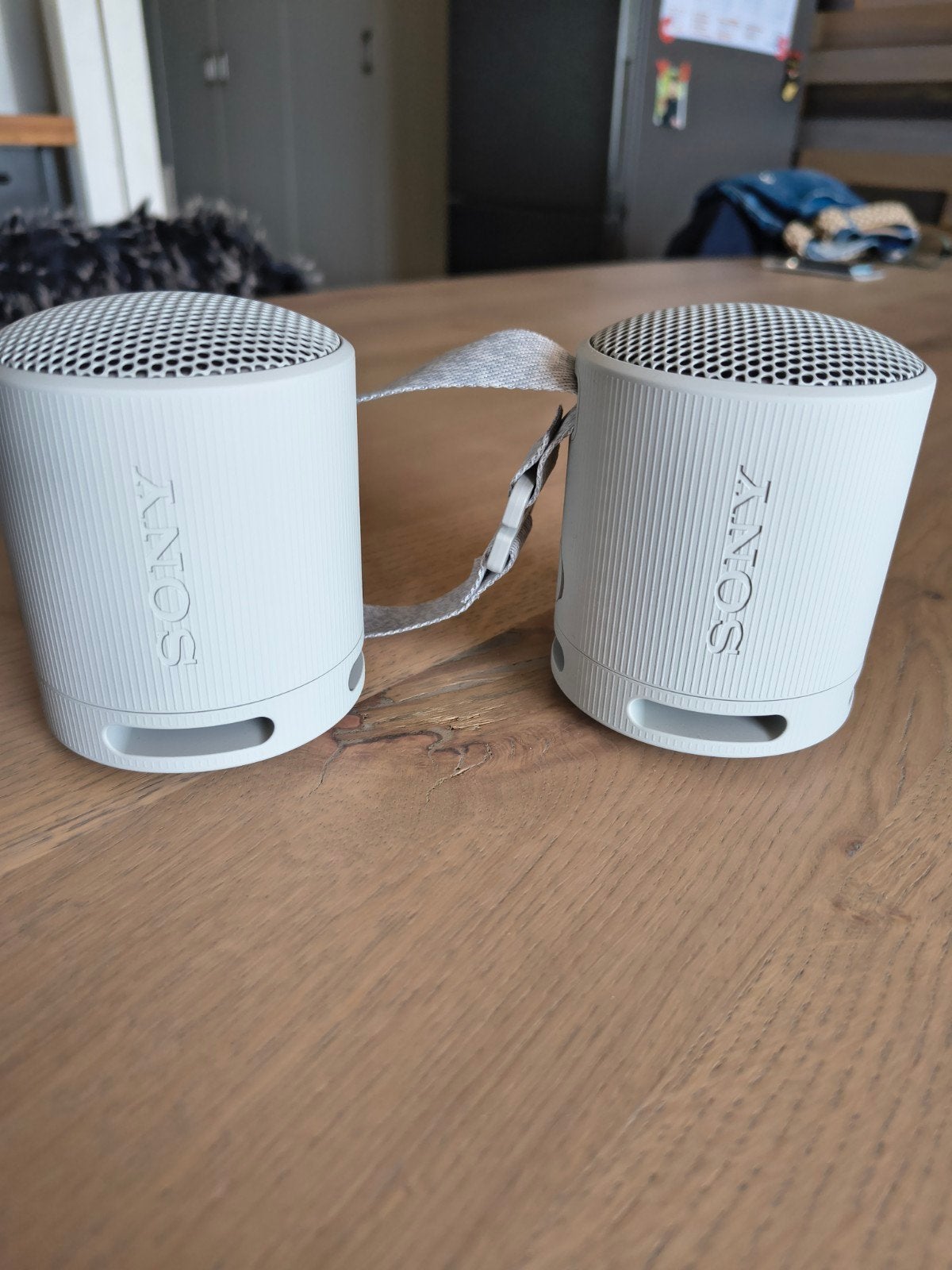 Sony srs-xb100 grijs 2 stuks, TV, Hi-fi & Vidéo, Moins de 60 watts, Enlèvement ou Envoi, Comme neuf, Résistant à la poussière