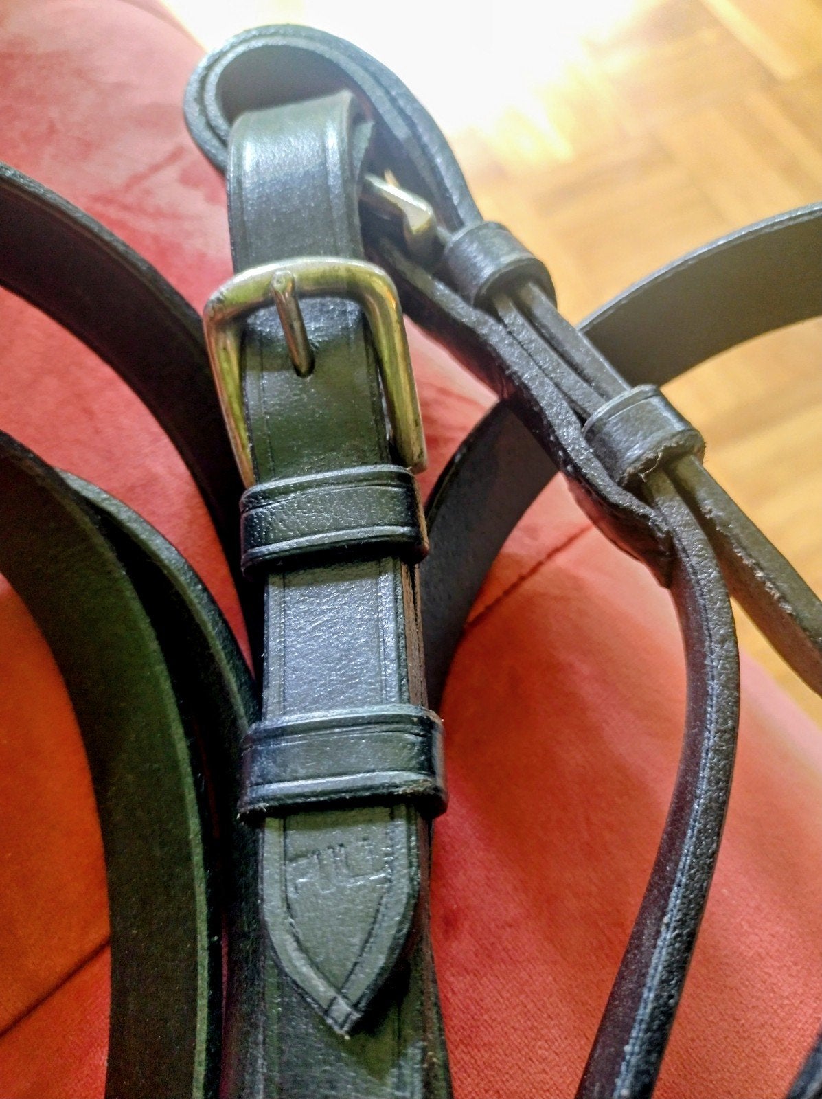 Leidsels, enkelspan full, nieuw!, Animaux & Accessoires, Chevaux & Poneys | Brides & Harnachement, Enlèvement ou Envoi