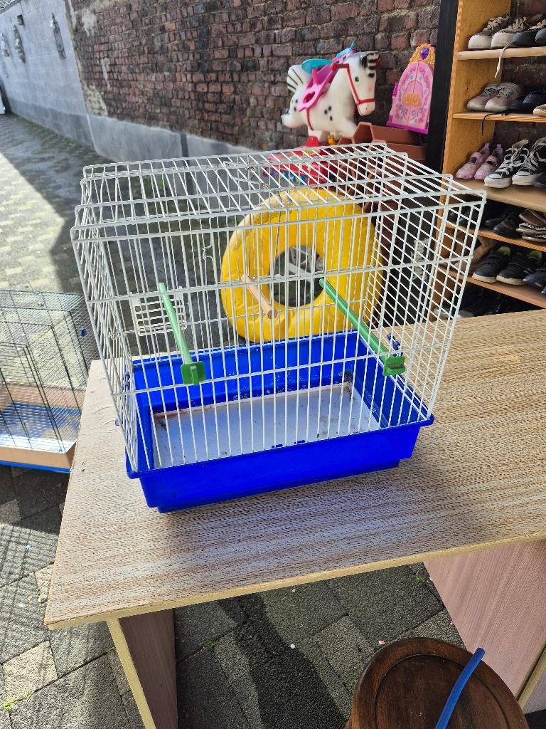 kanariekooi (prijs 15 euro per stuk), Ophalen, Gebruikt, Overige materialen, Vogelkooi