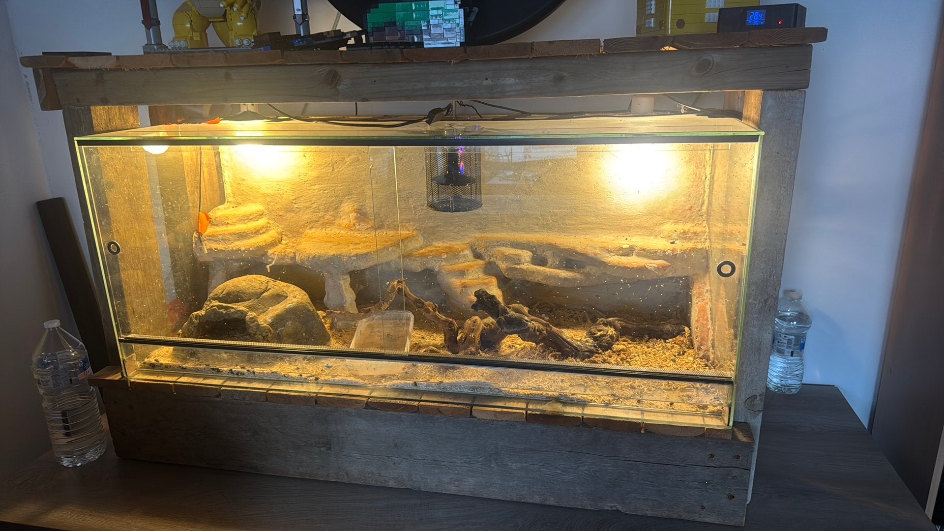 Tarrarium met verwarming, Dieren en Toebehoren, Reptielen en Amfibieën, Slang