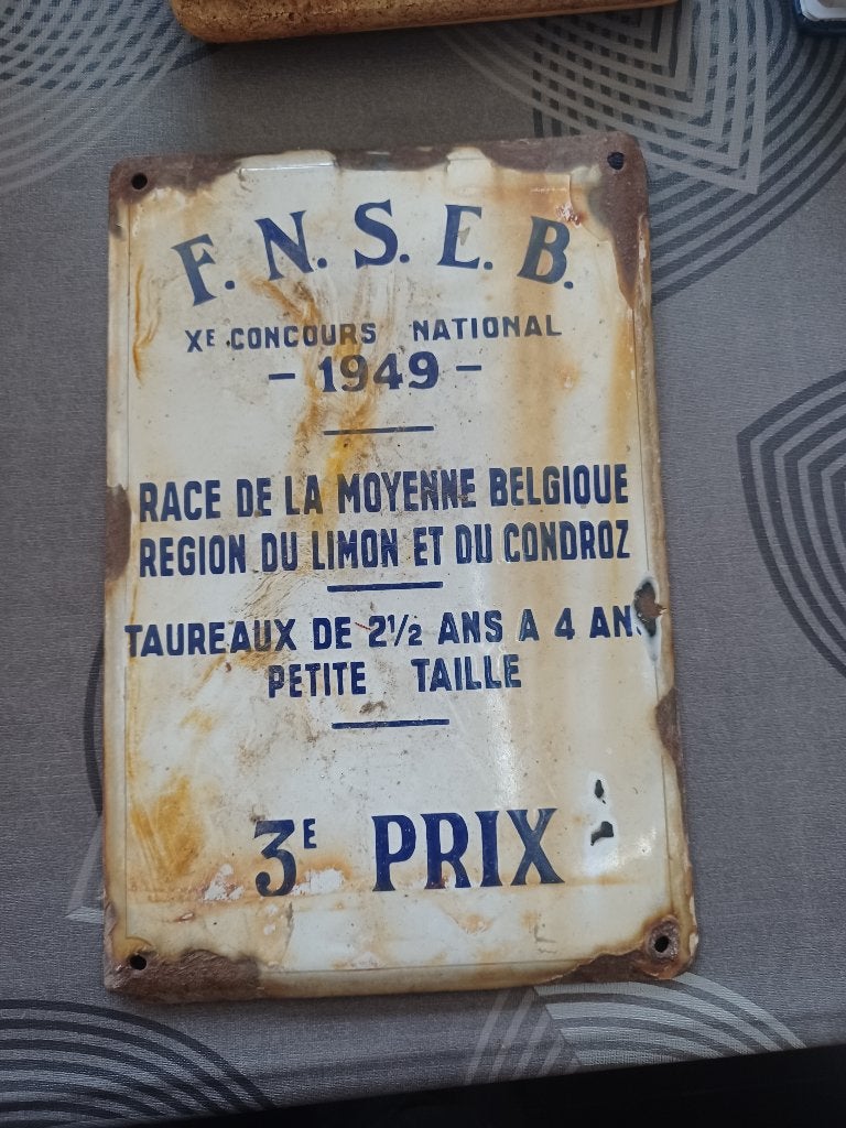 2026/116 : plaque en émail, Enlèvement ou Envoi