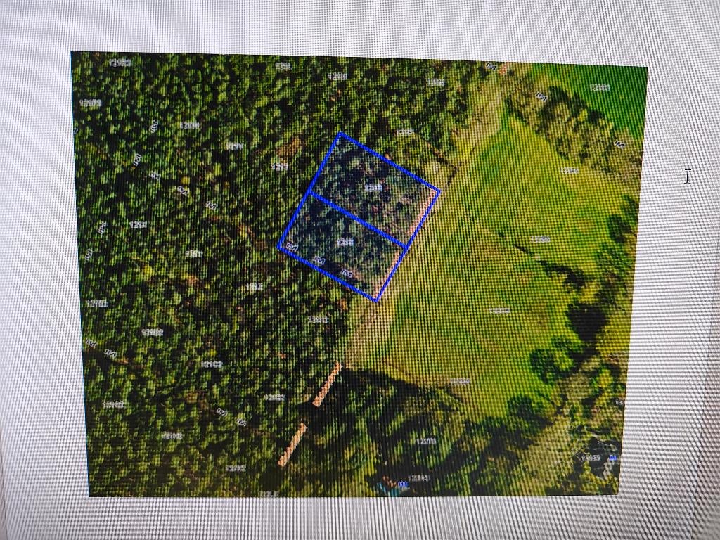 Bosgrond te koop, Immo, Zoersel, Ventes sans courtier, 1500 m² ou plus