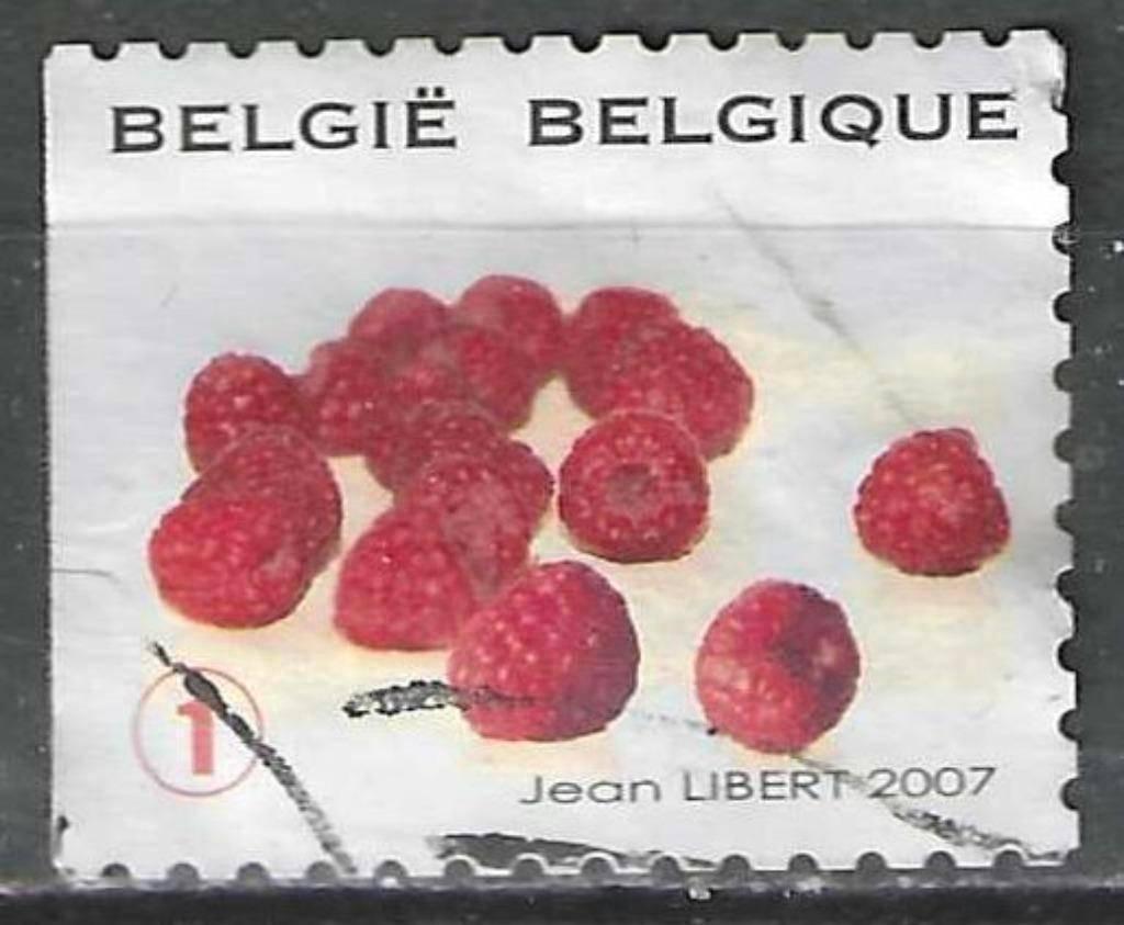 Belgie 2007 - Yvert 3678 /OBP 3691 - Framboos (ST), Verzenden, Gestempeld, Gestempeld
