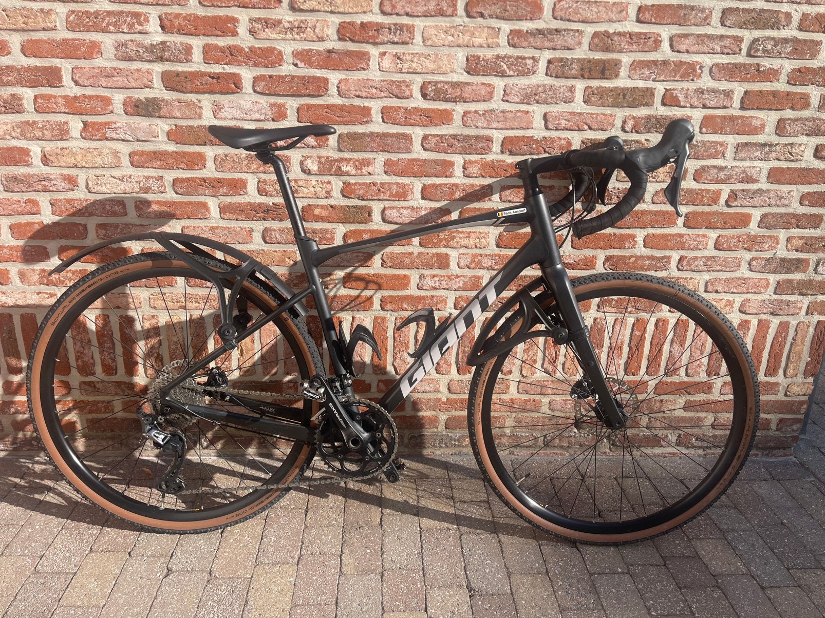 Giant revolt 0 gravelbike, Vélos & Vélomoteurs, Enlèvement, Utilisé, Giant