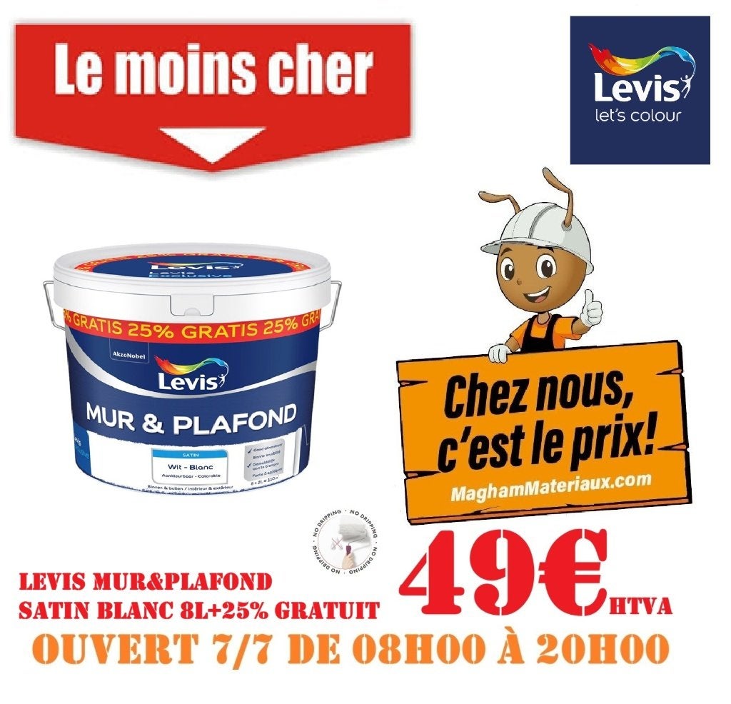 PEINTURE LEVIS 10L, Bricolage & Construction, Enlèvement, Neuf, Peinture