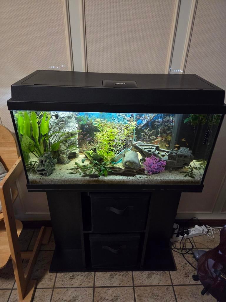Juwel aquarium 80cm met onderkast en toebehoren, Dieren en Toebehoren, Ophalen, Filter, Juwel