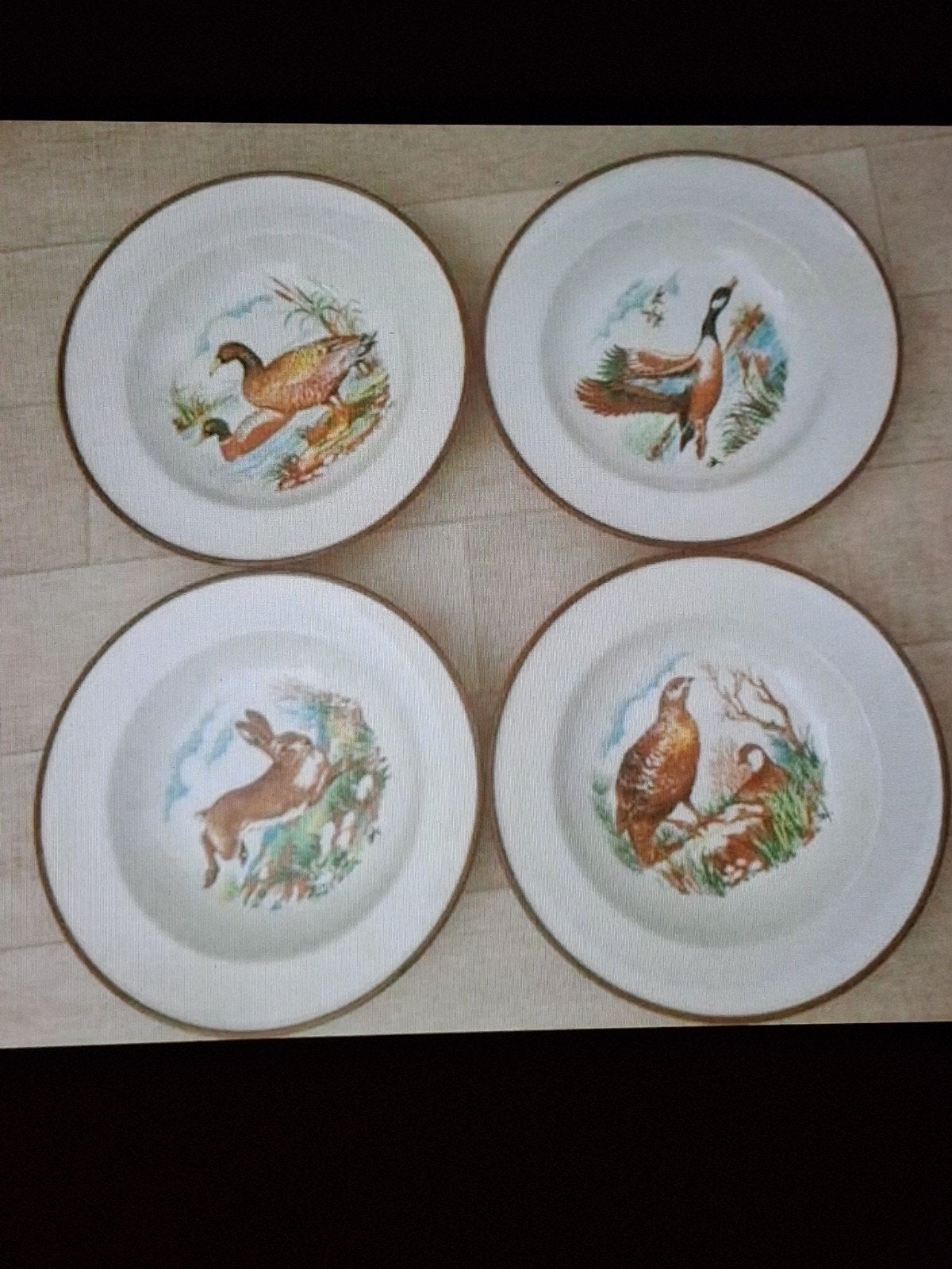 4 soepborden met jachtdecoratie: haas, eend,, Ophalen of Verzenden