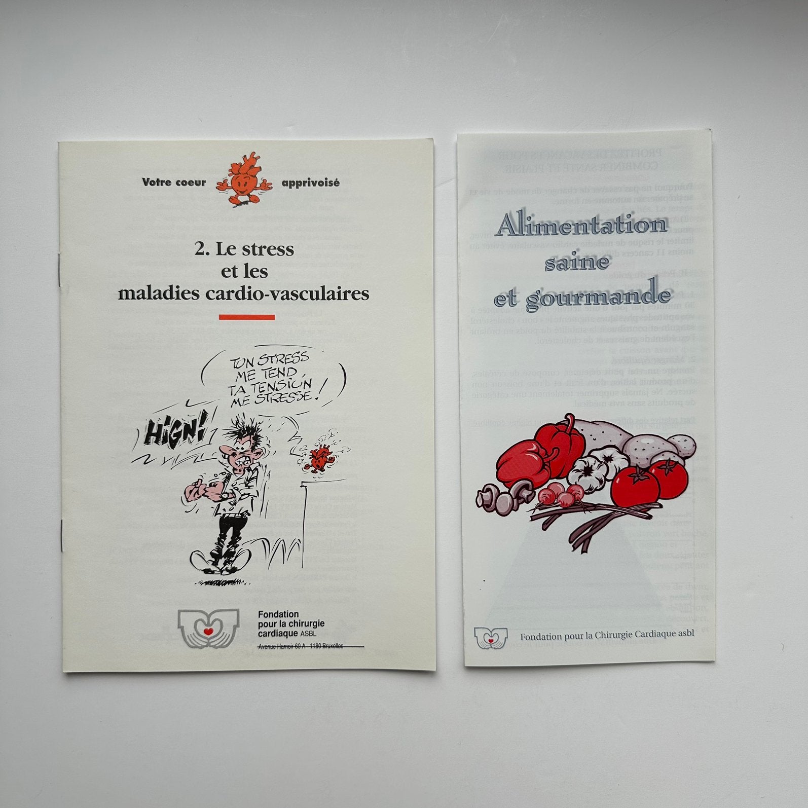 Franquin Gaston Lagaffe brochure Stress années 90, Collections, Envoi, Gaston ou Spirou, Neuf, Image, Affiche ou Autocollant
