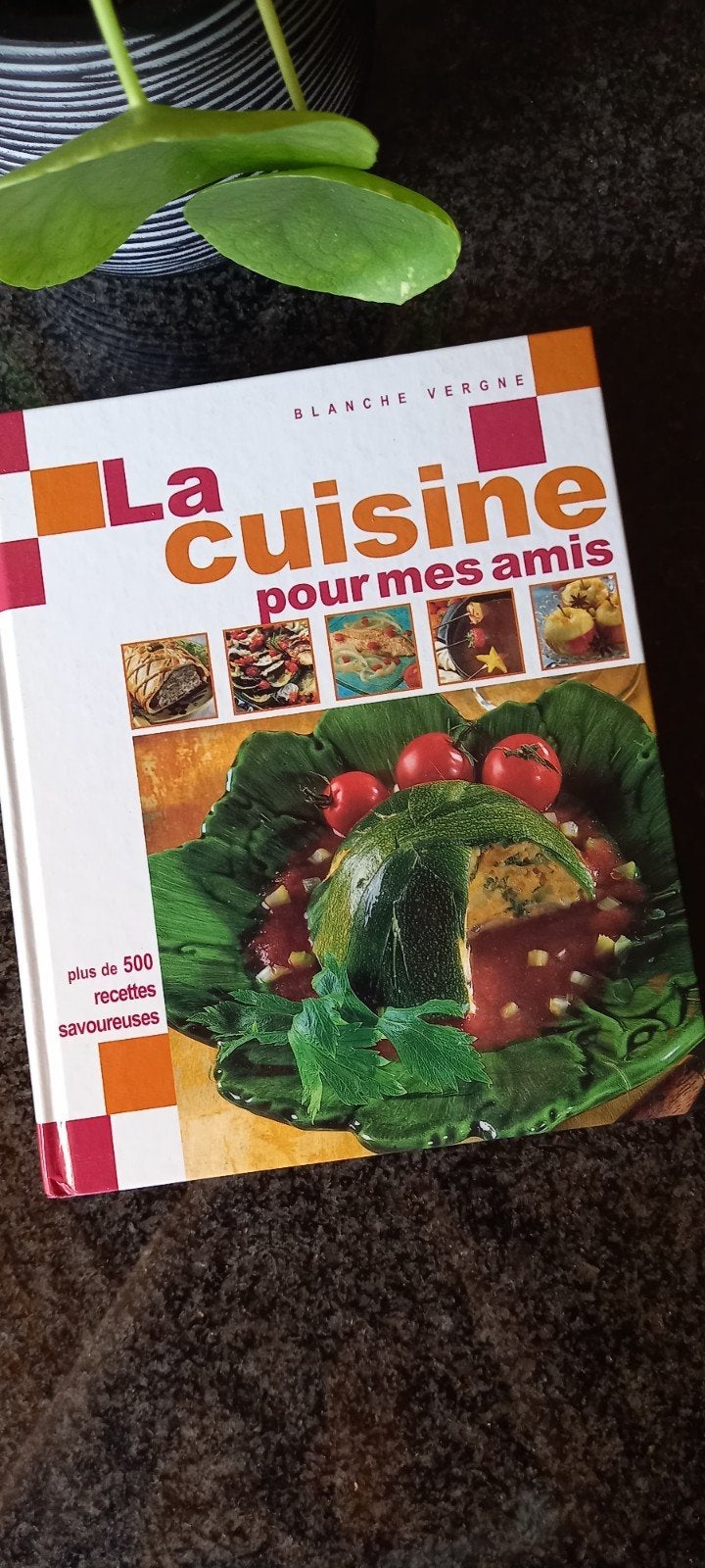 La cuisine pour mes amis, Enlèvement ou Envoi, Utilisé, Blanche Vergne