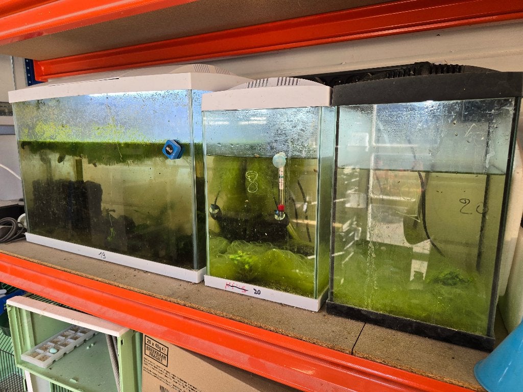 3 aquariums, Dieren en Toebehoren, Ophalen, Gebruikt, Gevuld zoetwateraquarium, Superfish
