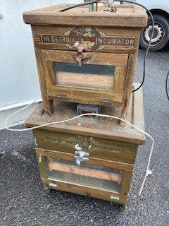 Incubateur, Enlèvement, Utilisé, Couveuse