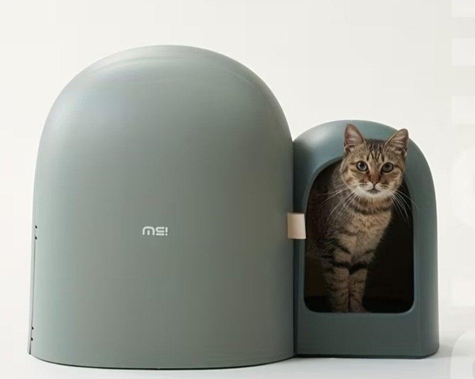 Groene moderne kattenbak, Ophalen