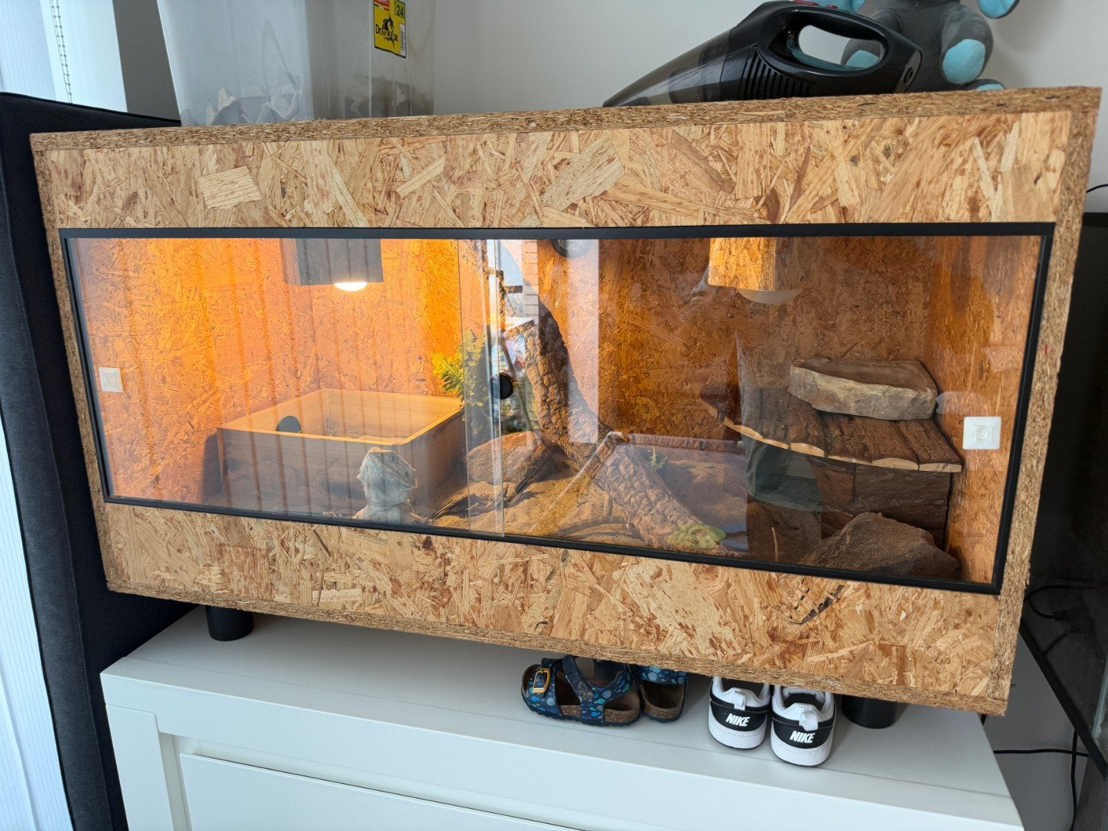 terrarium, Animaux & Accessoires, Enlèvement