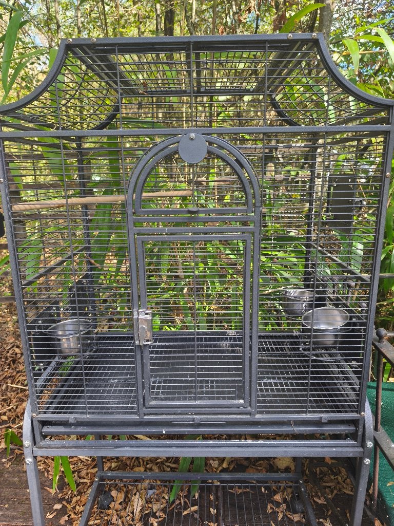 Cage Madeira 1, Enlèvement, Utilisé, Métal, Cage à oiseaux
