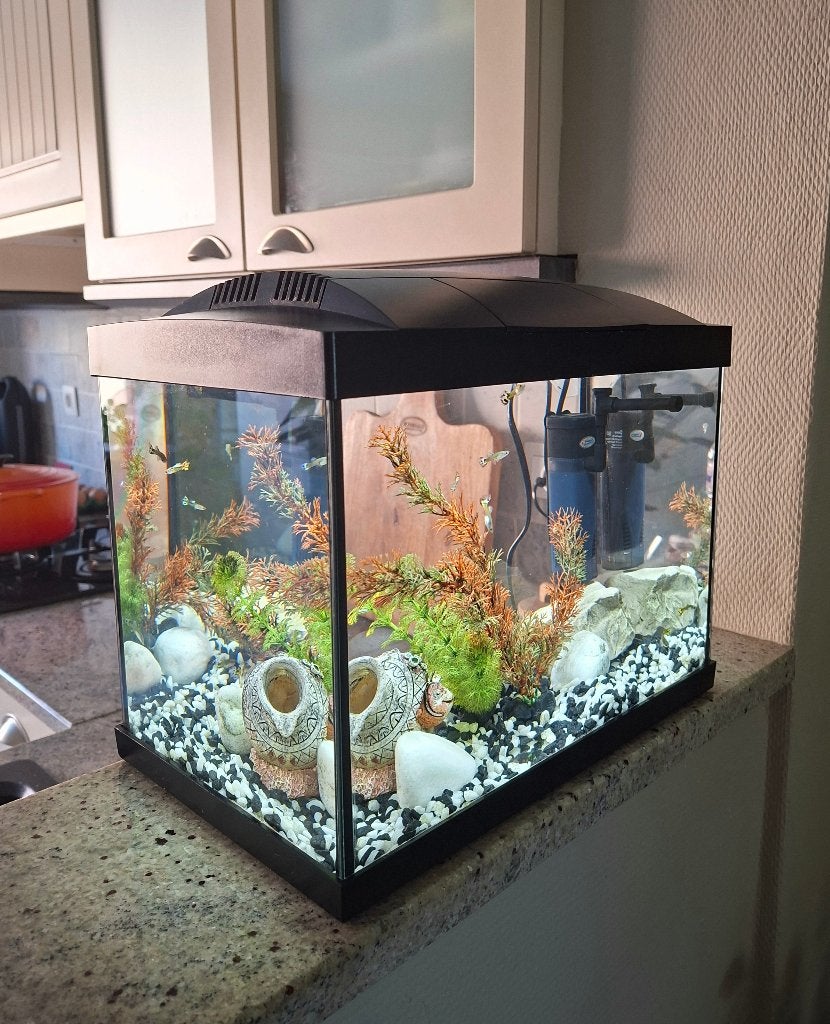 Superfish aquarium 20 compleet, Dieren en Toebehoren, Ophalen, Inclusief deksel, Zo goed als nieuw, Superfish